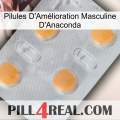 Anaconda Male Enhancement Pills 24